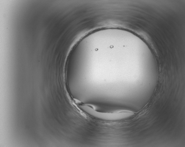 X0000080101191200612301910