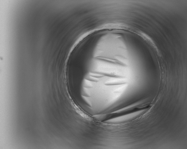 X0000080101192200612301910