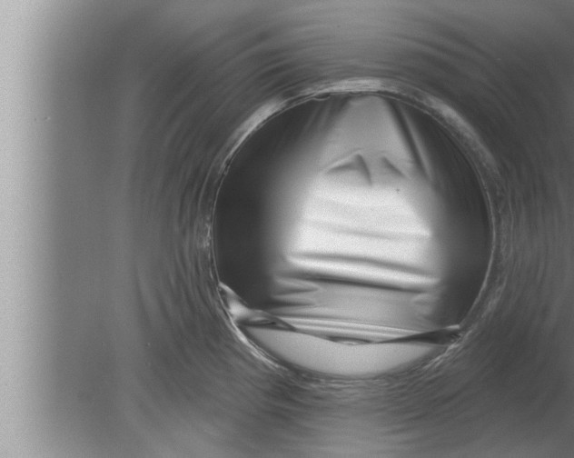 X0000080101193200612301910