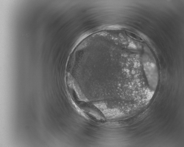 X0000080101194200612301910