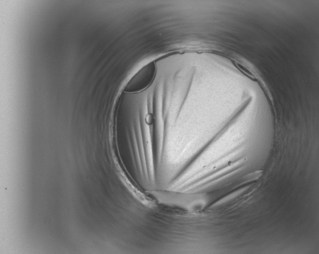 X0000080101195200612301910