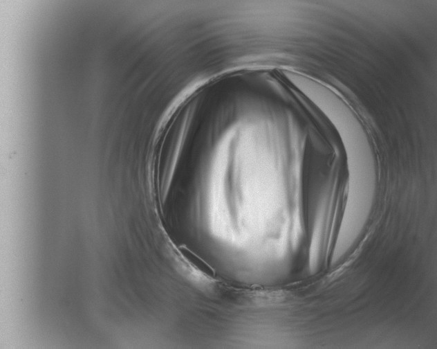 X0000080101196200612301910