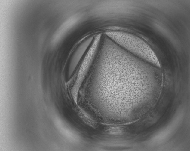 X0000080101198200612301910