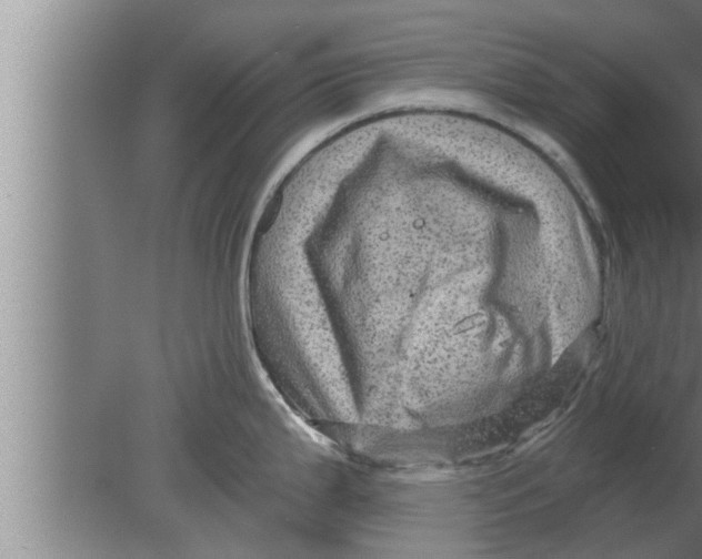 X0000080101199200612301910