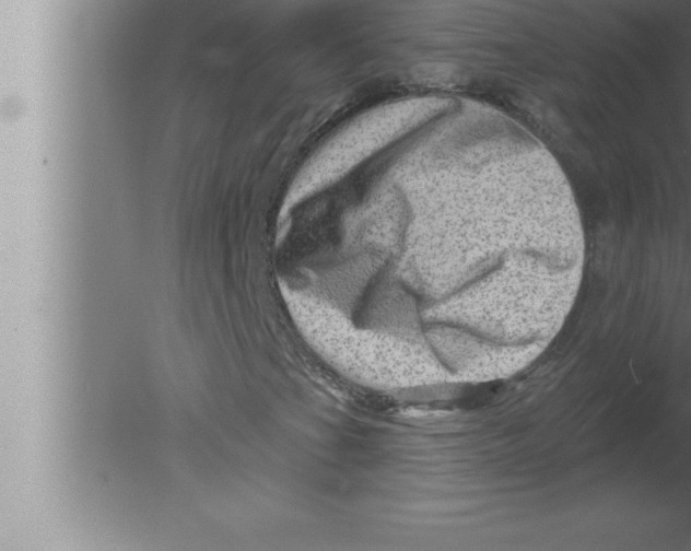 X0000080101201200612301909