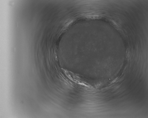 X0000080101202200612301909