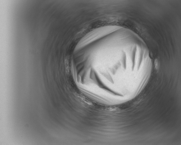 X0000080101203200612301909