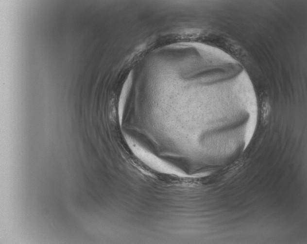 X0000080101204200612301909