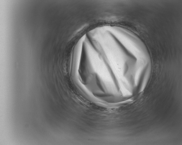 X0000080101205200612301909