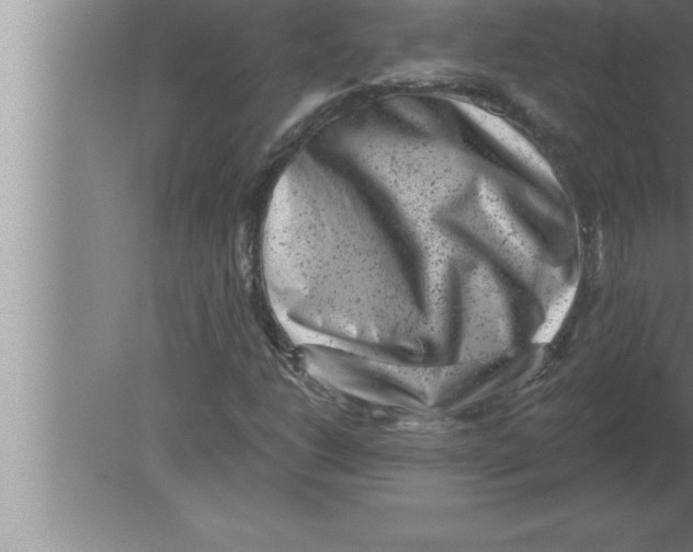 X0000080101206200612301909