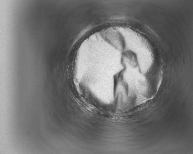 X0000080101208200612301909