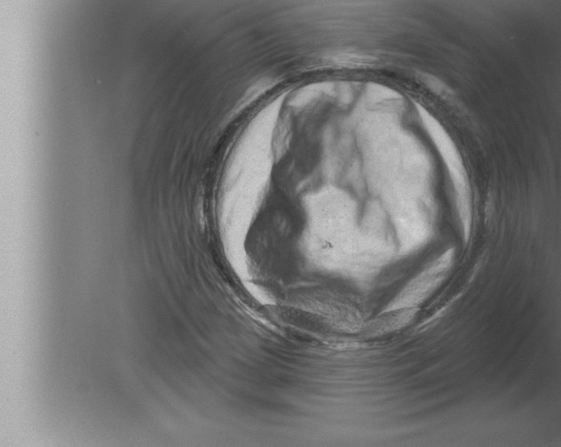 X0000080101209200612301909