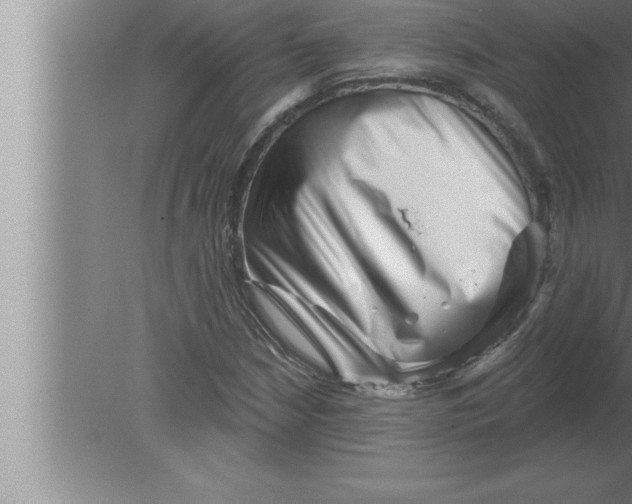 X0000080101210200612301909