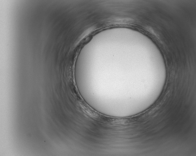 X0000080101211200612301909