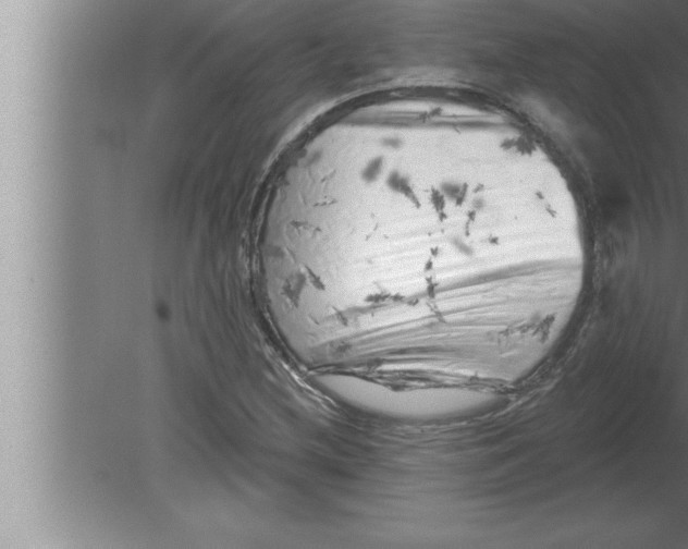 X0000080101212200612301909