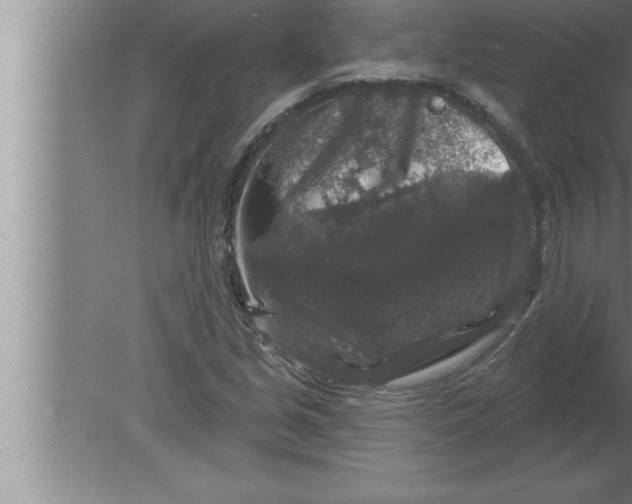 X0000080101213200612301909