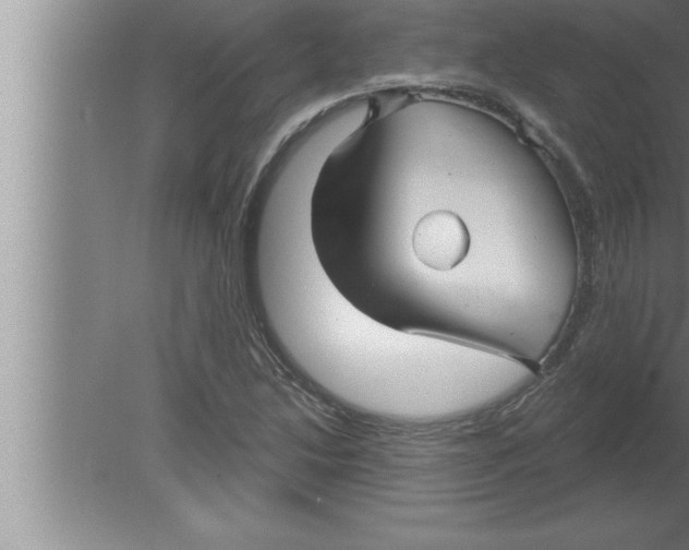 X0000080101214200612301909