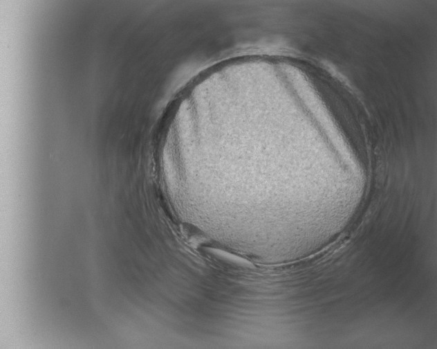 X0000080101215200612301909