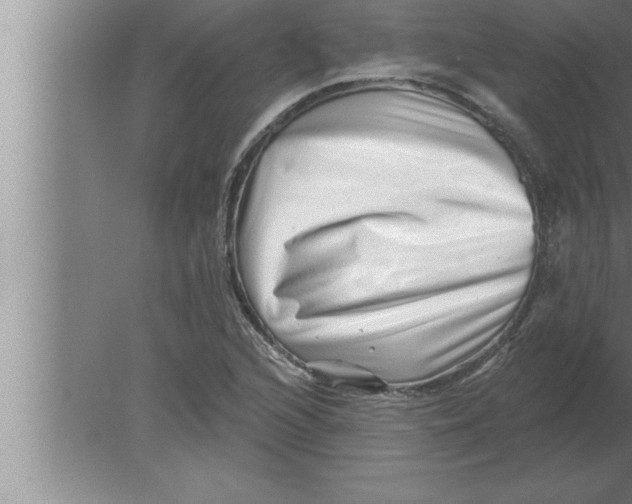 X0000080101216200612301909