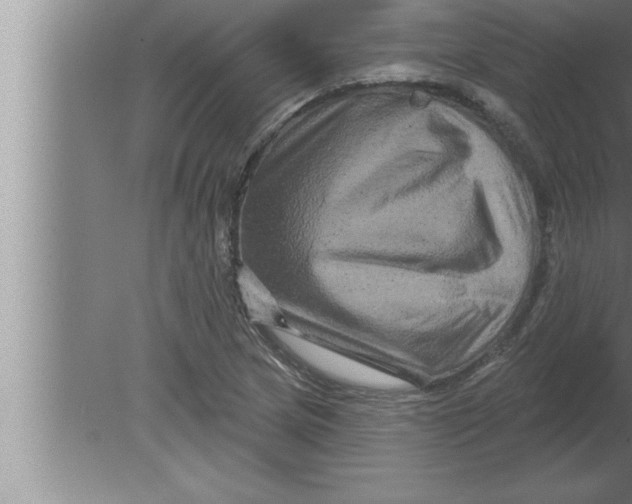 X0000080101217200612301909