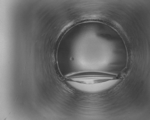 X0000080101218200612301909