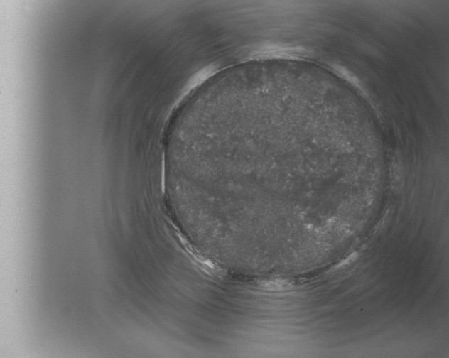 X0000080101219200612301909