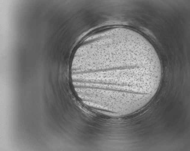 X0000080101220200612301909