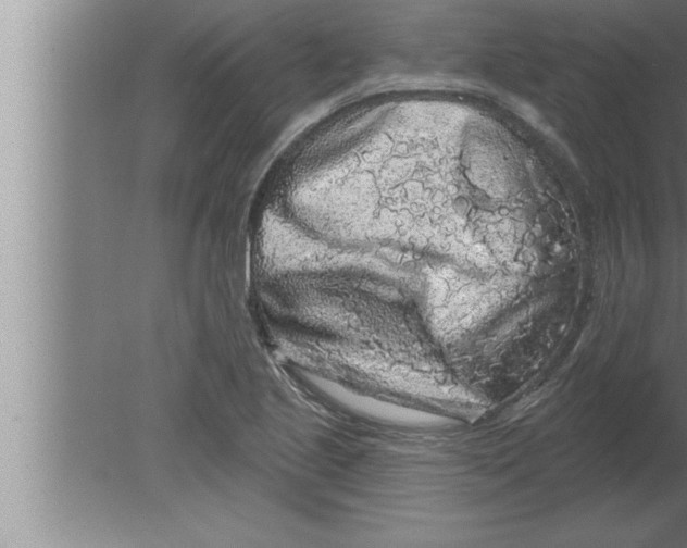 X0000080101221200612301909