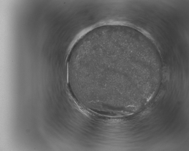 X0000080101223200612301909