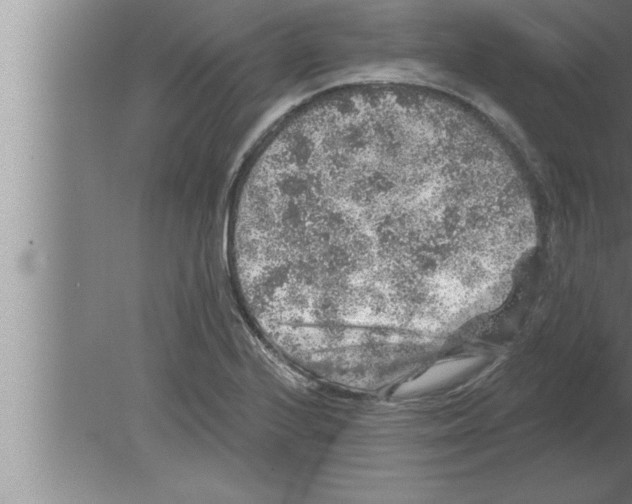 X0000080101224200612301909