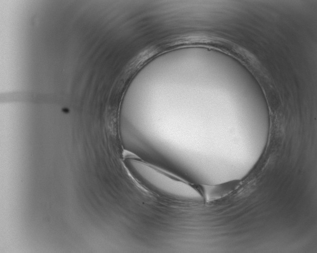 X0000080101225200612301909