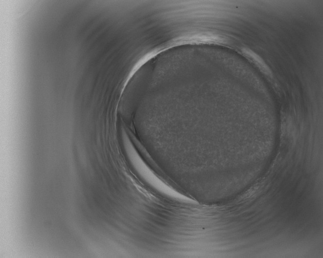 X0000080101226200612301909