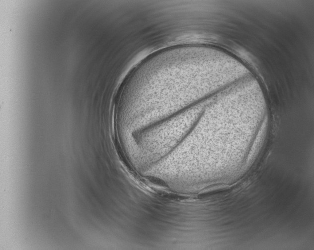 X0000080101227200612301909