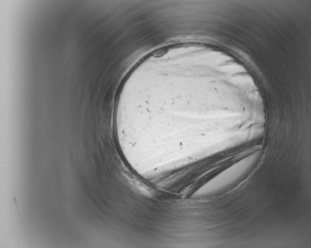 X0000080101228200612301909