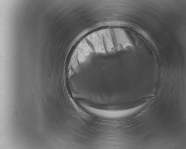 X0000080101229200612301909