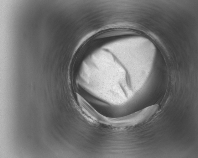 X0000080101230200612301909