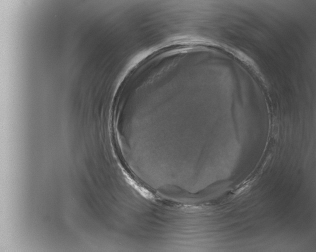 X0000080101231200612301909