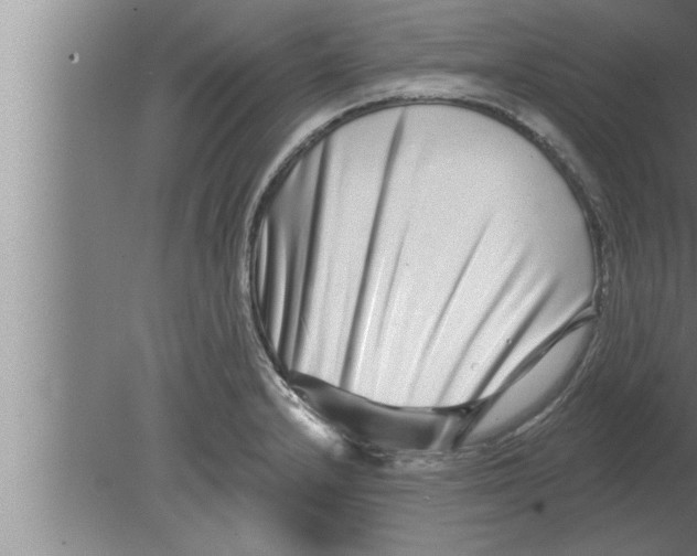 X0000080101232200612301909