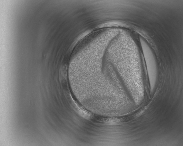 X0000080101233200612301909