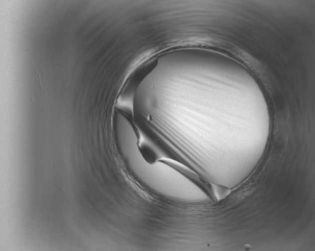 X0000080101234200612301909