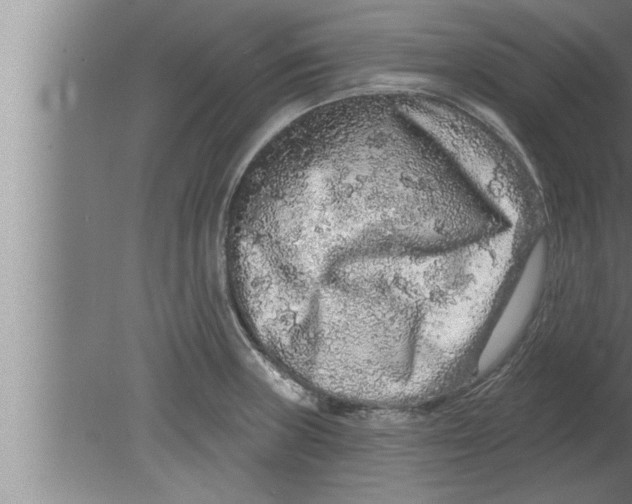 X0000080101235200612301909