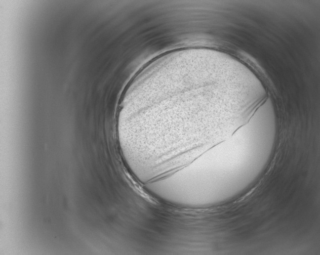 X0000080101236200612301909