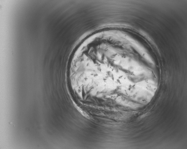 X0000080101237200612301909