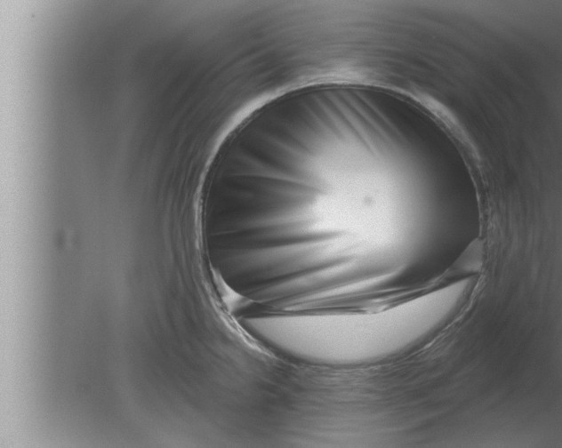 X0000080101238200612301909