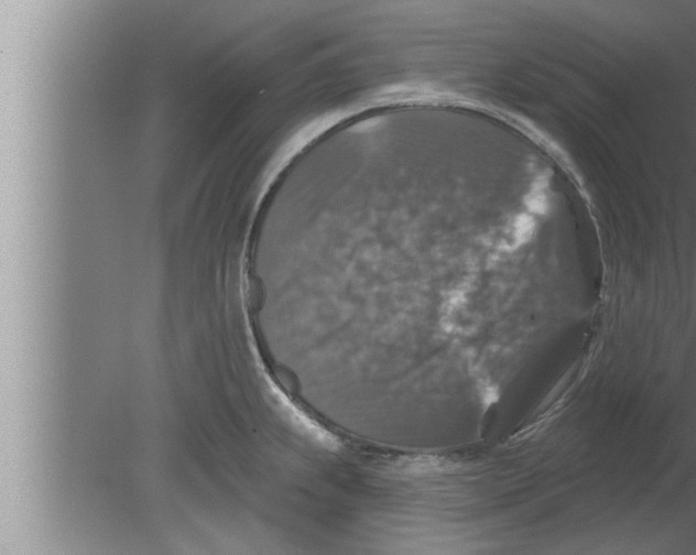 X0000080101239200612301909