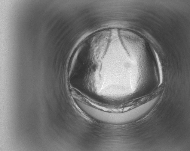 X0000080101240200612301909