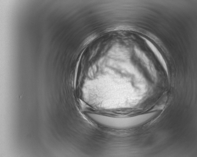 X0000080101241200612301909