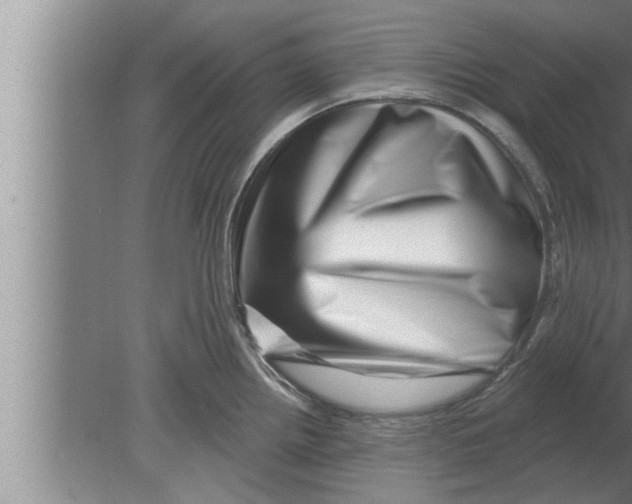 X0000080101242200612301910