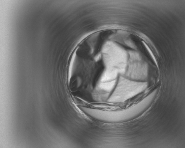 X0000080101244200612301910