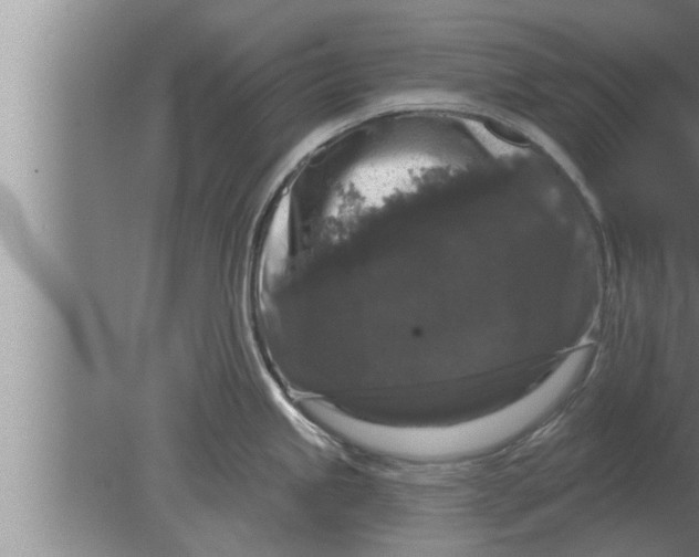 X0000080101245200612301910